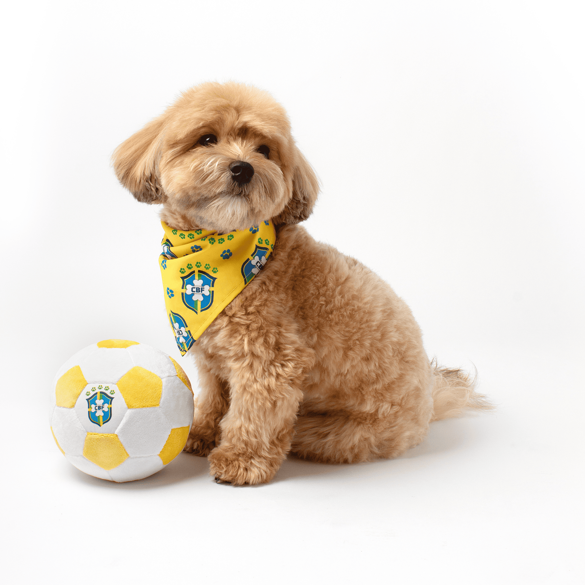 Small dog wearing a yellow Brazil-inspired bandana with a Brazil-inspired soccer ball on a white background