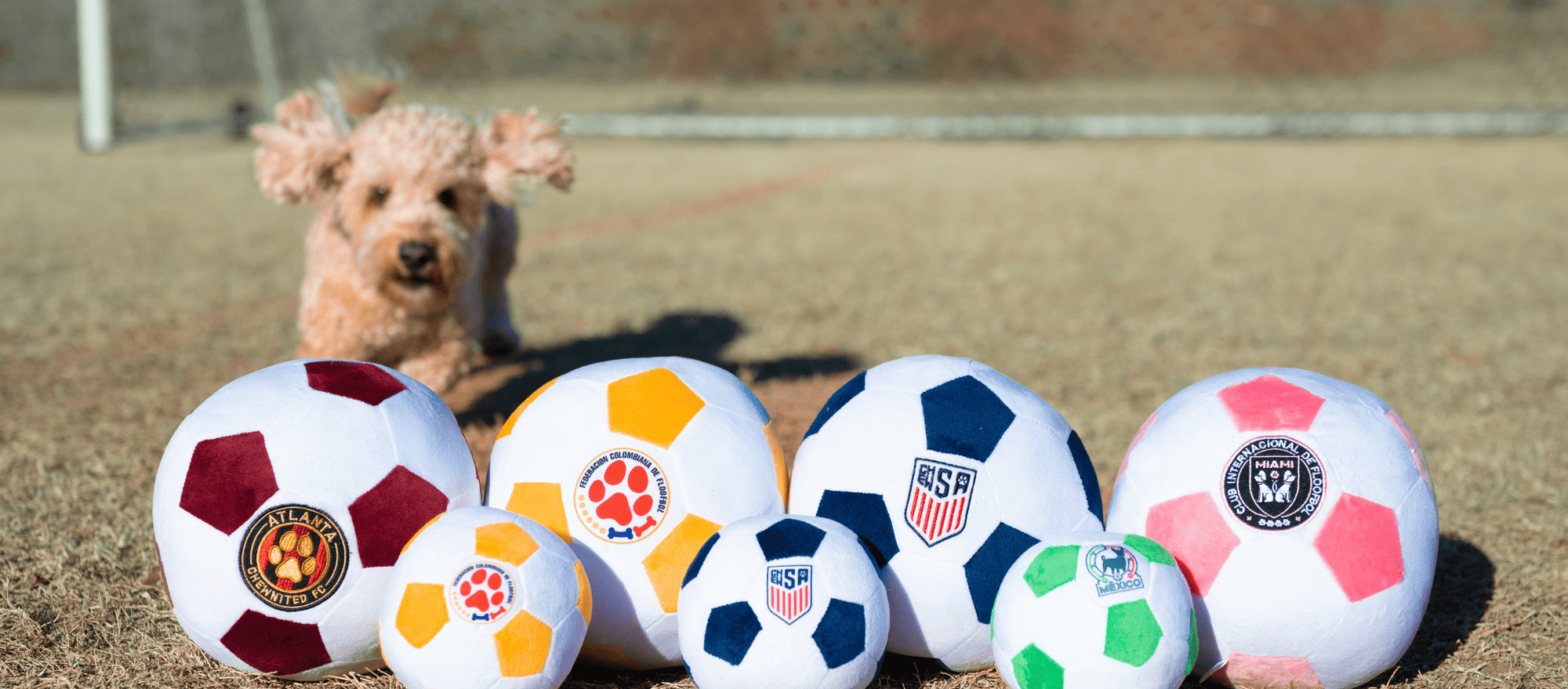 Soccer gifts for soccer fans