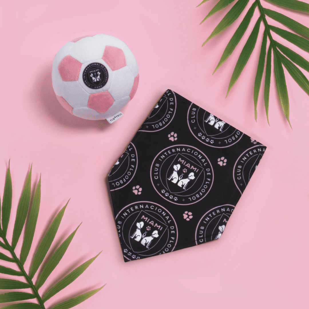 Shop Miami