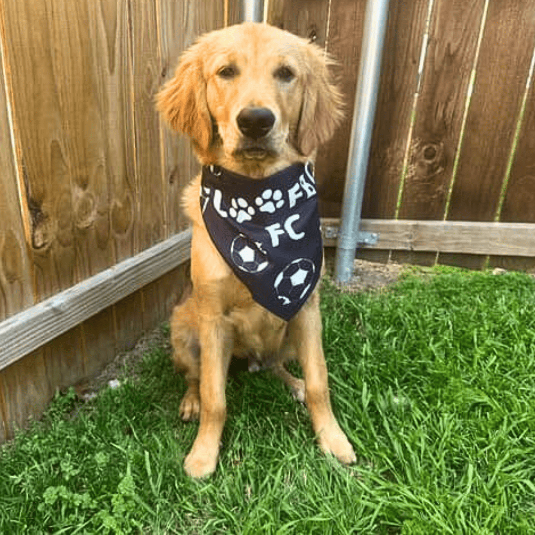 Floofball FC Bandana