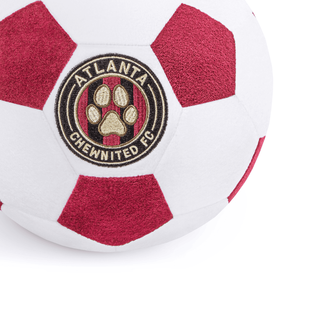 Atlanta Chewnited Ball