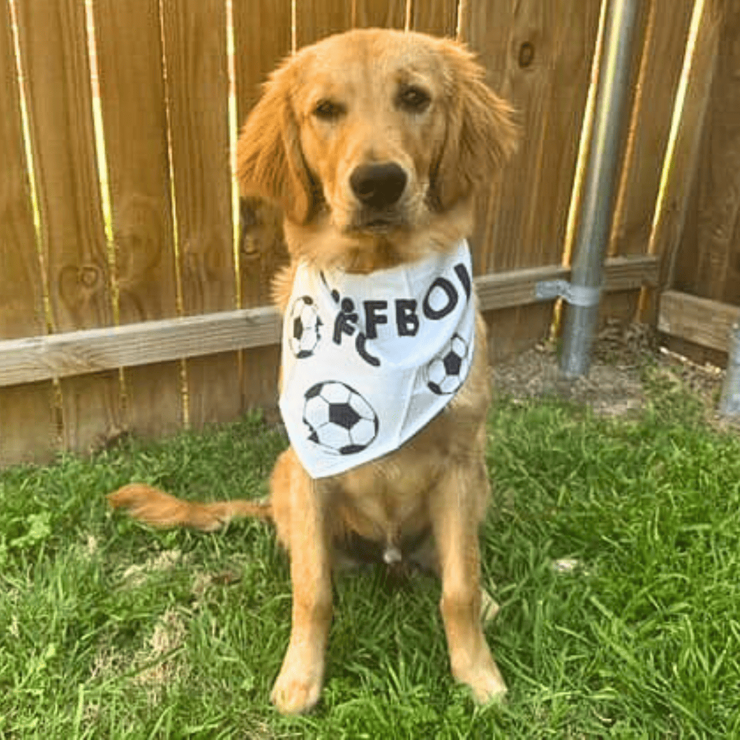 Floofball FC Bandana
