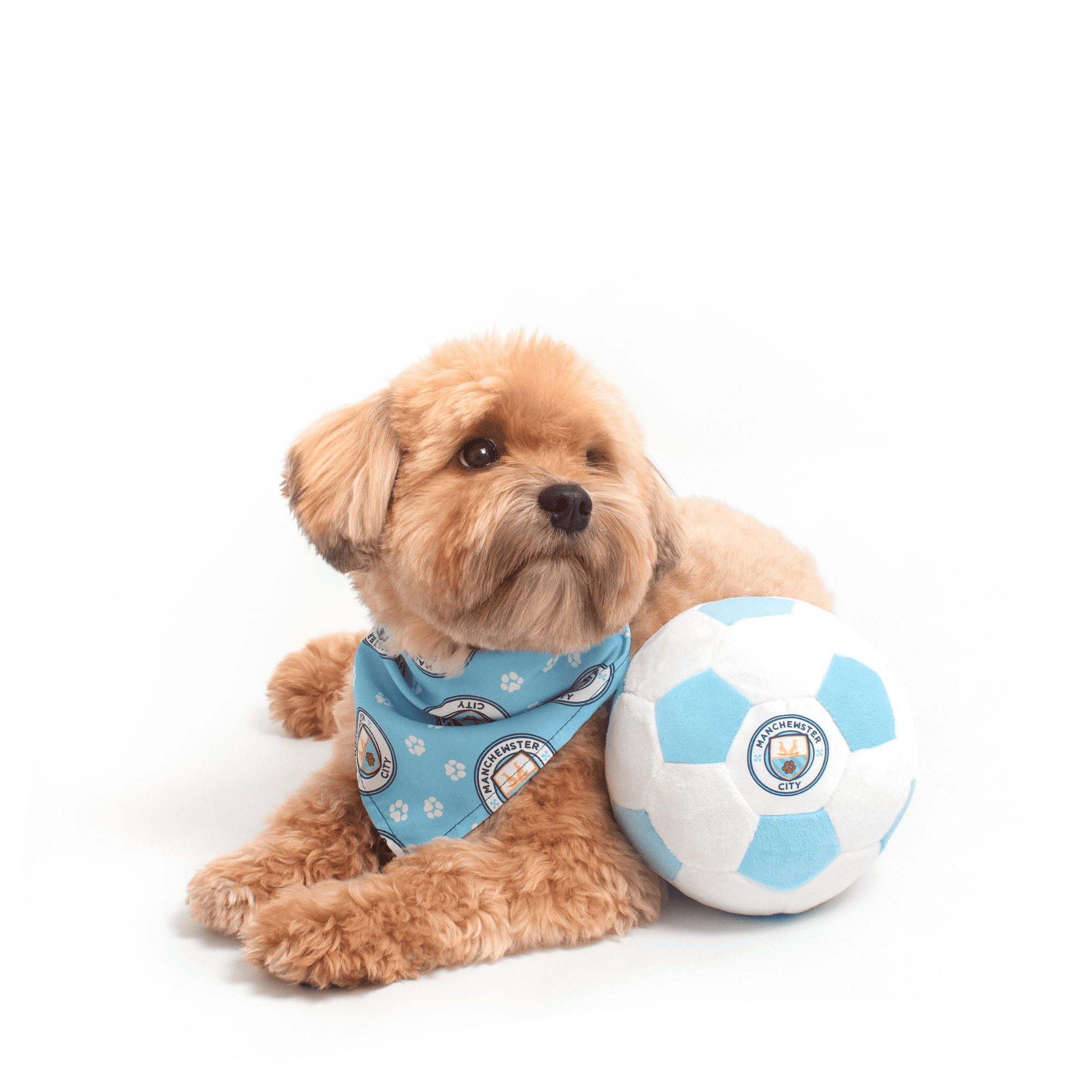Manchewster City Ball