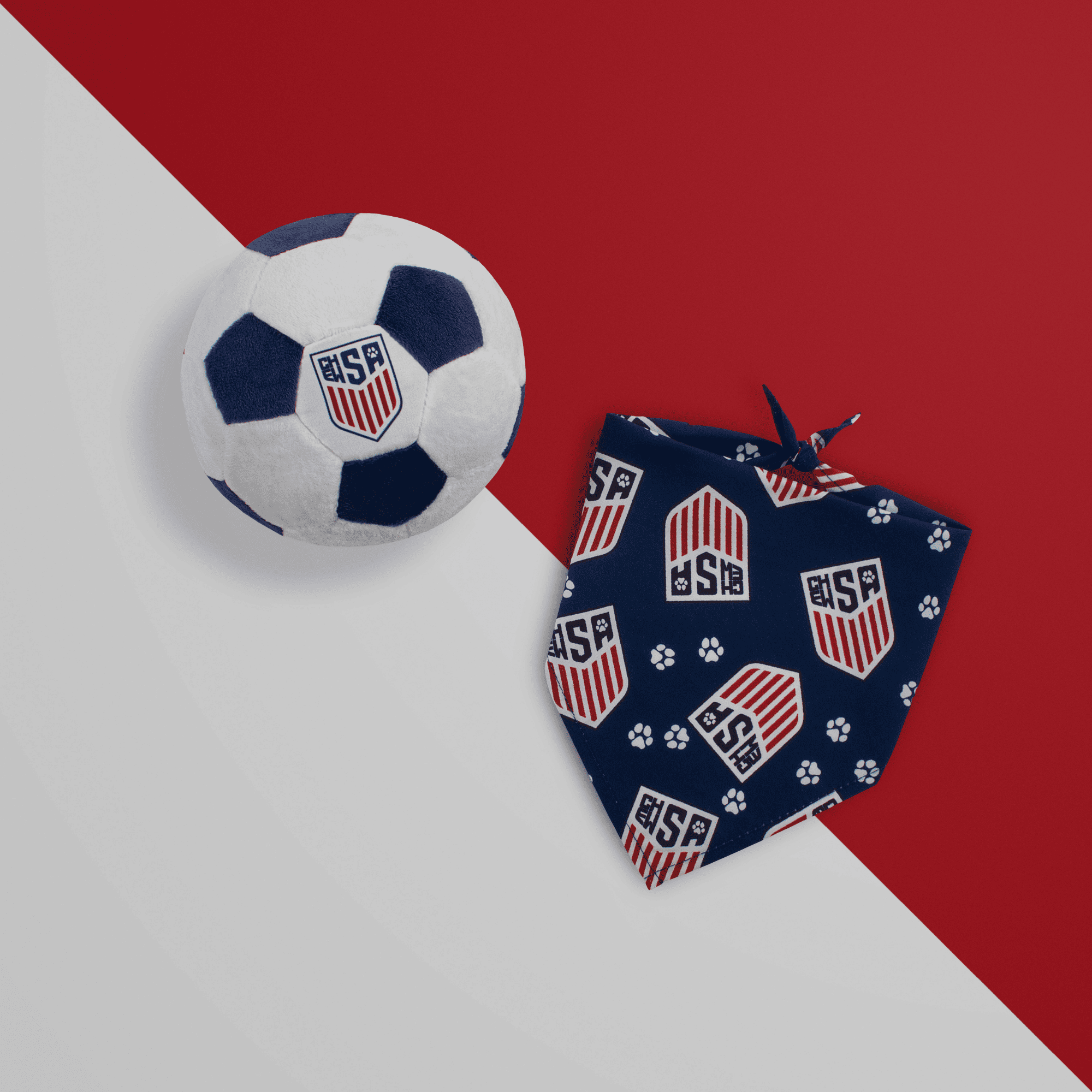 ChewSA Ball