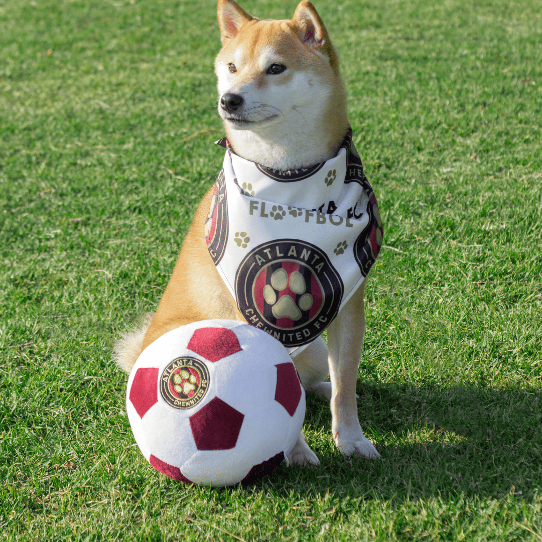 Atlanta Chewnited Ball