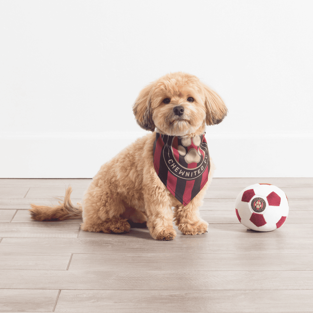 Atlanta Chewnited Bandana