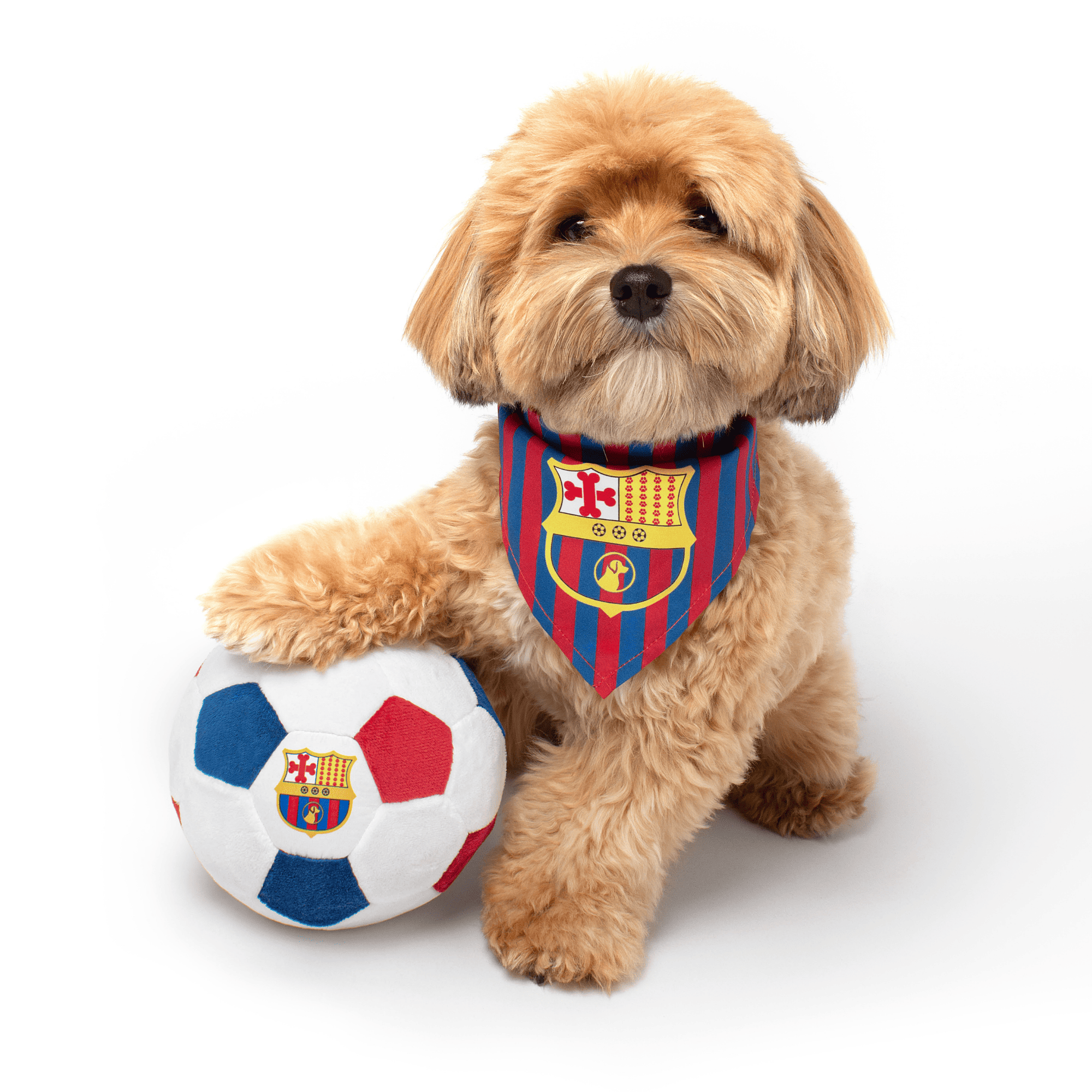 NEW: Barkcelona Bandana