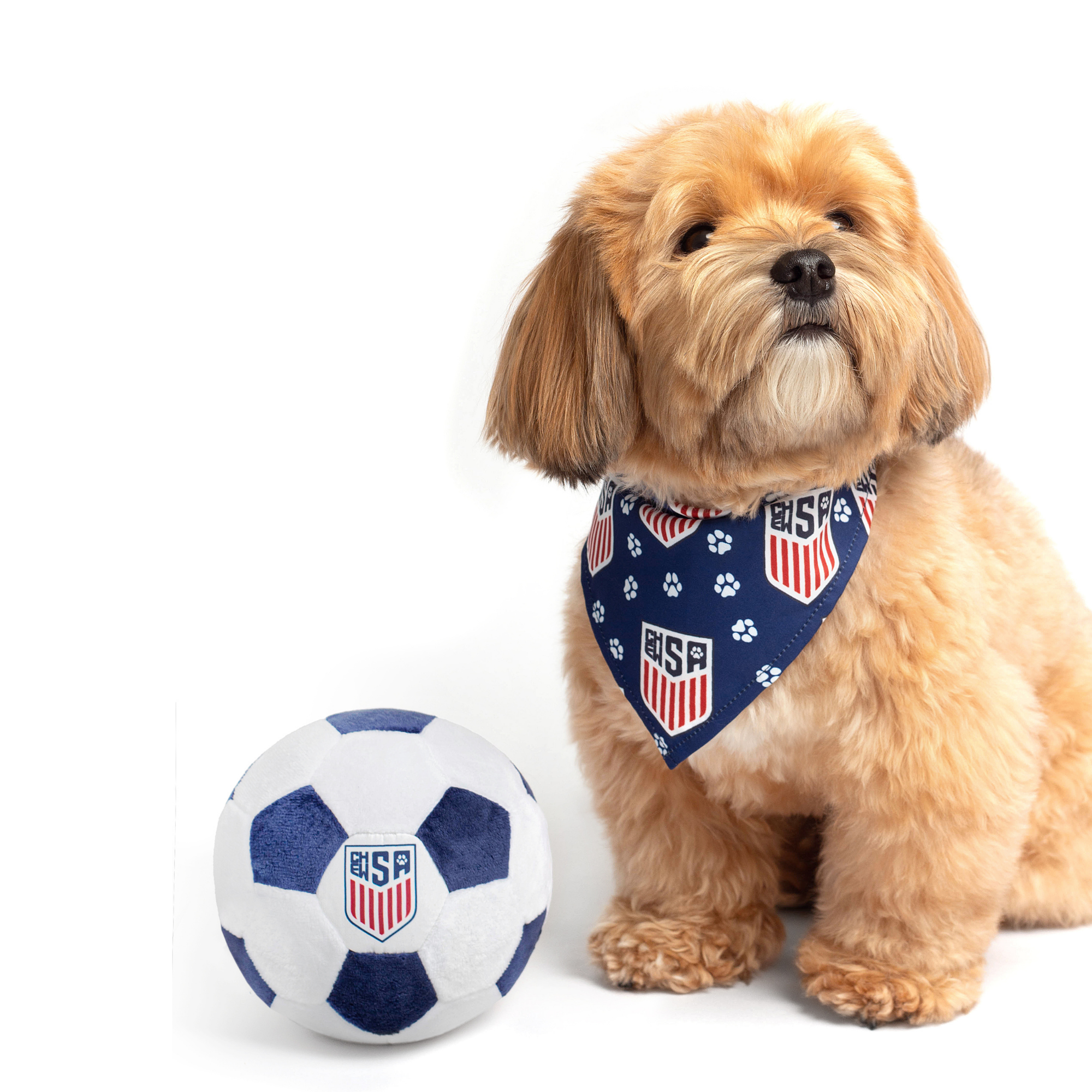 Dog wearing a ChewSA-themed soccer bandana holding a ChewSA soccer ball on a white background