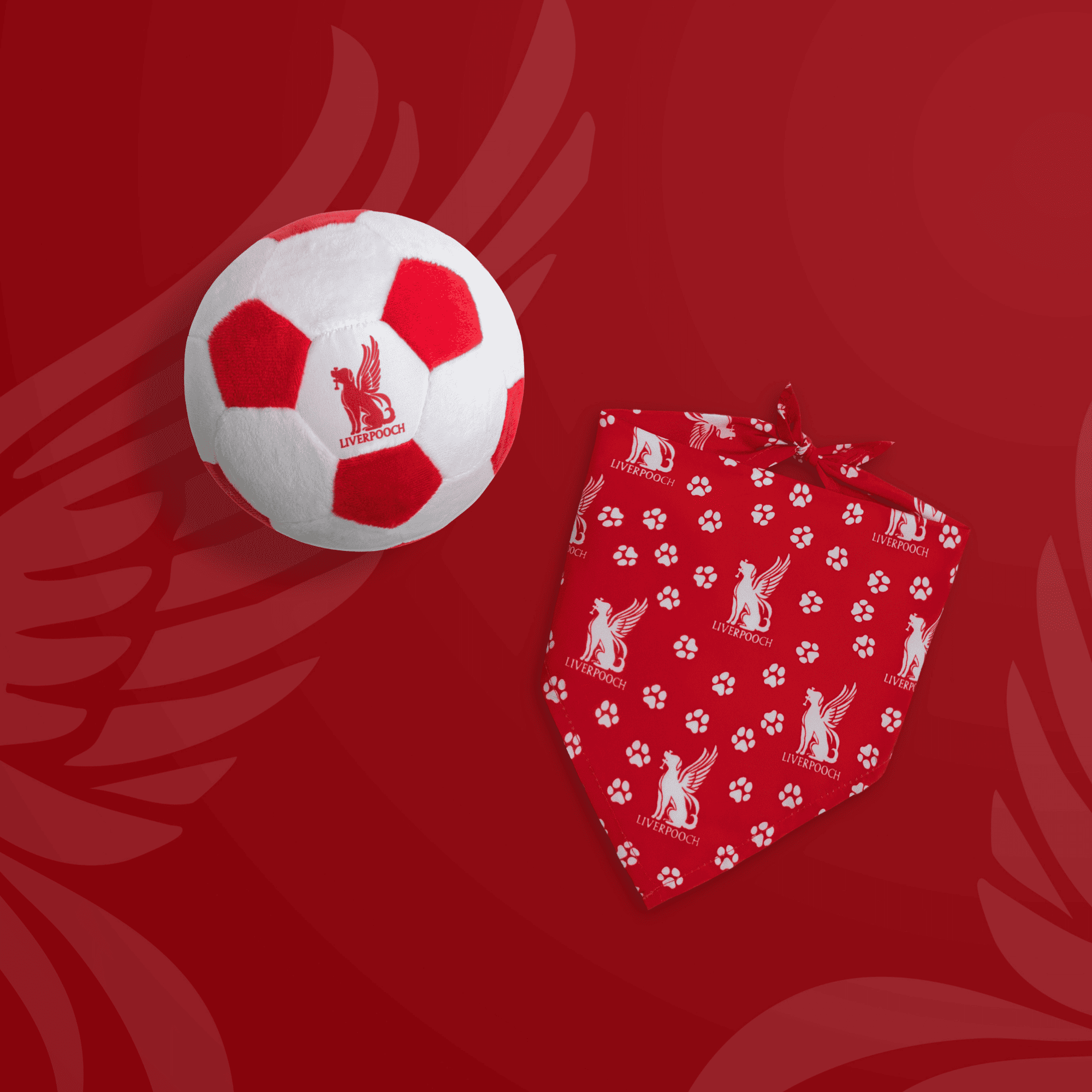 NEW: Liverpooch ball