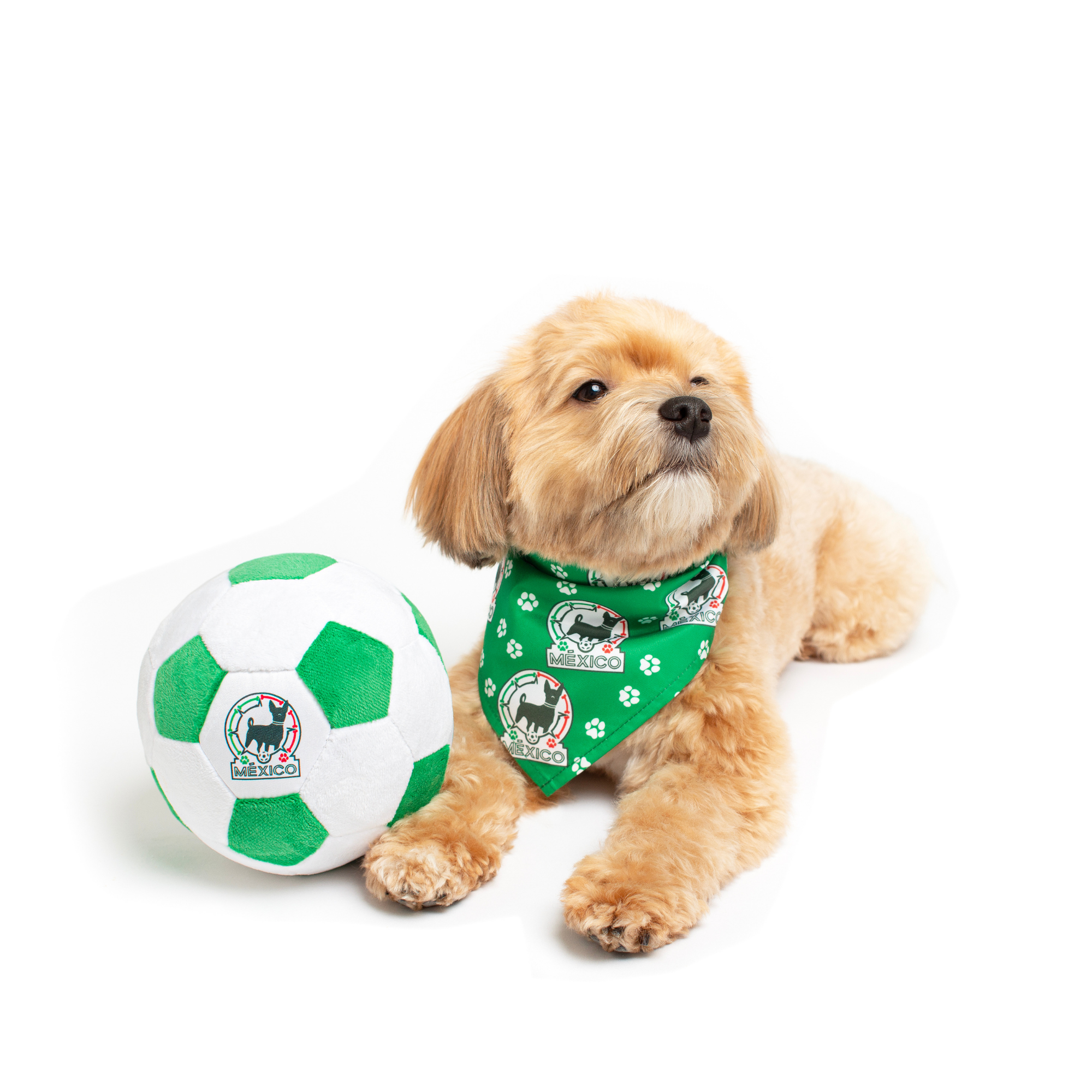 Small dog posing with the Mexico soccer ball dog toy – Floofball