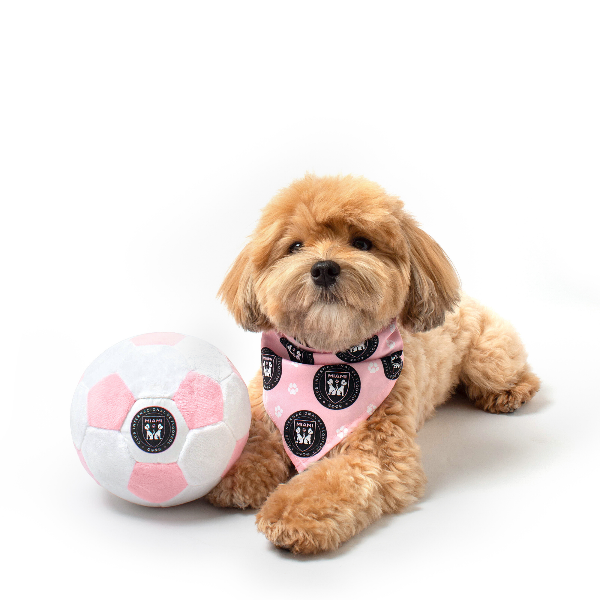 Miami soccer dog toy and bandana on model – Floofball