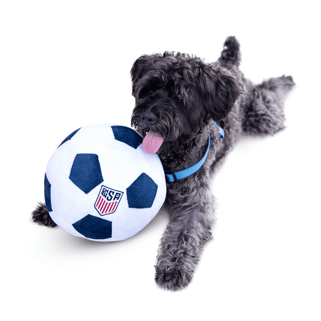 model image of ChewSA large soccer ball dog toy, a fun and durable pet parody toy inspired by soccer, perfect for playful pups and as soccer gifts for dog-loving sports fans.