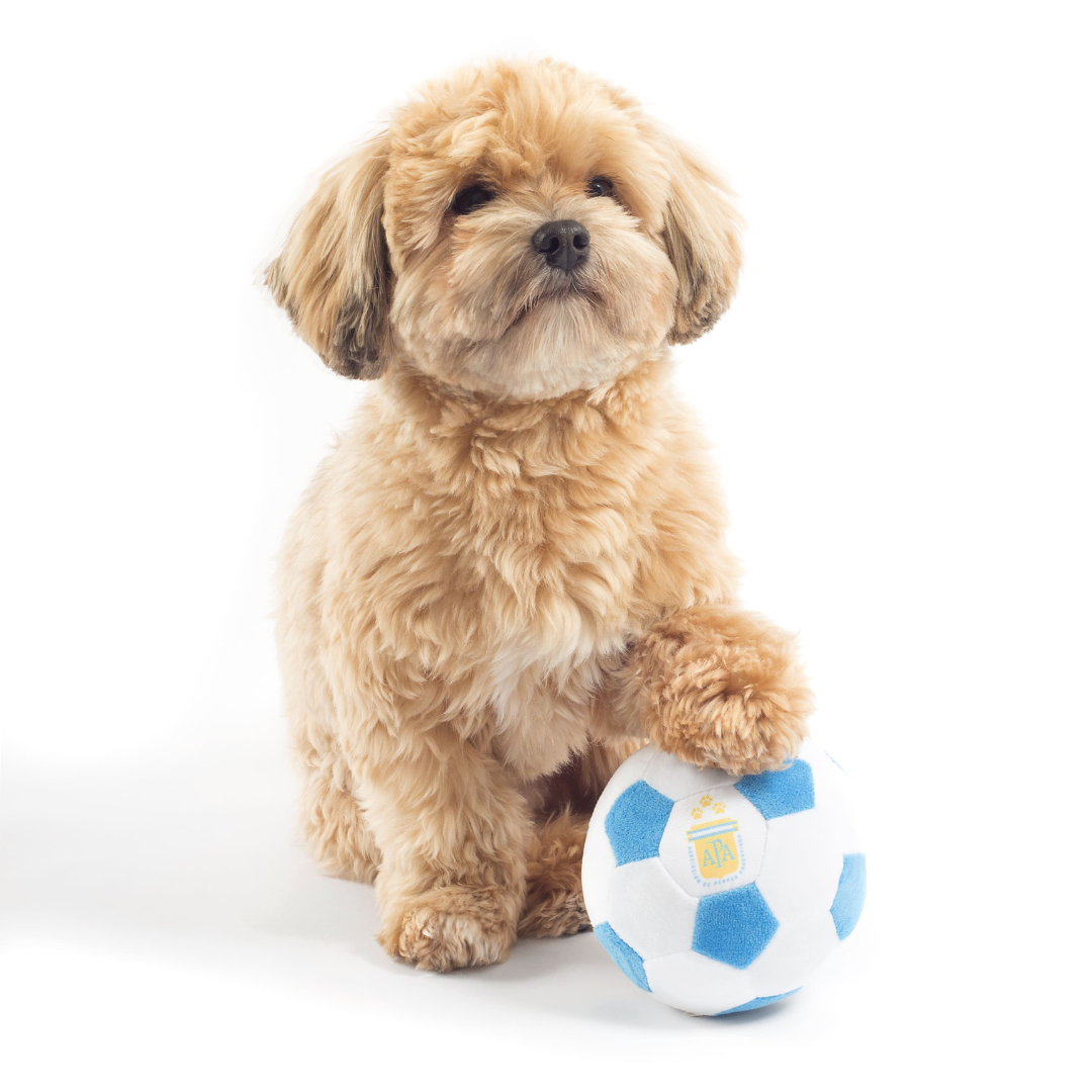 Model image of Argentina small soccer ball dog toy, a fun and durable pet parody toy inspired by soccer, perfect for playful pups and as soccer gifts for dog-loving sports fans.