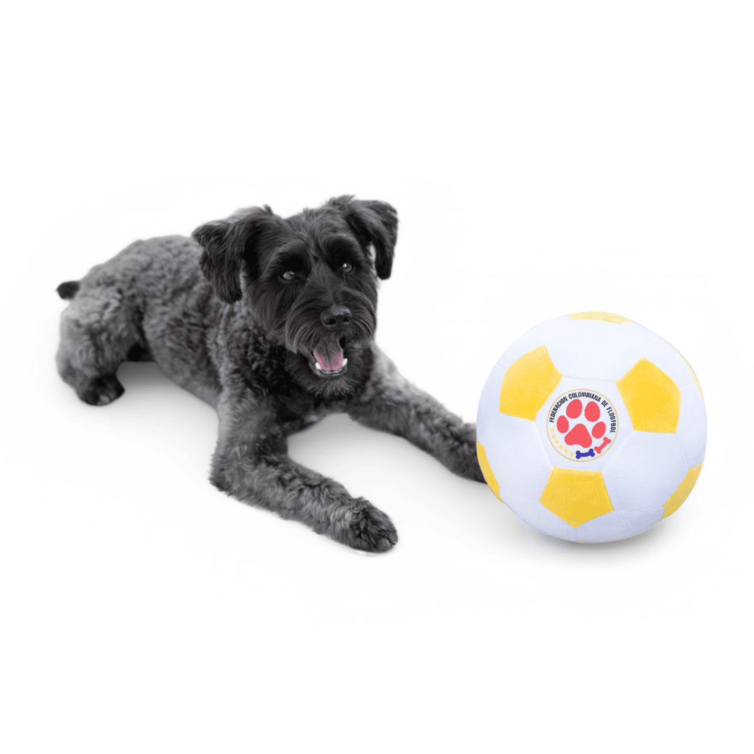 Colombia Ball