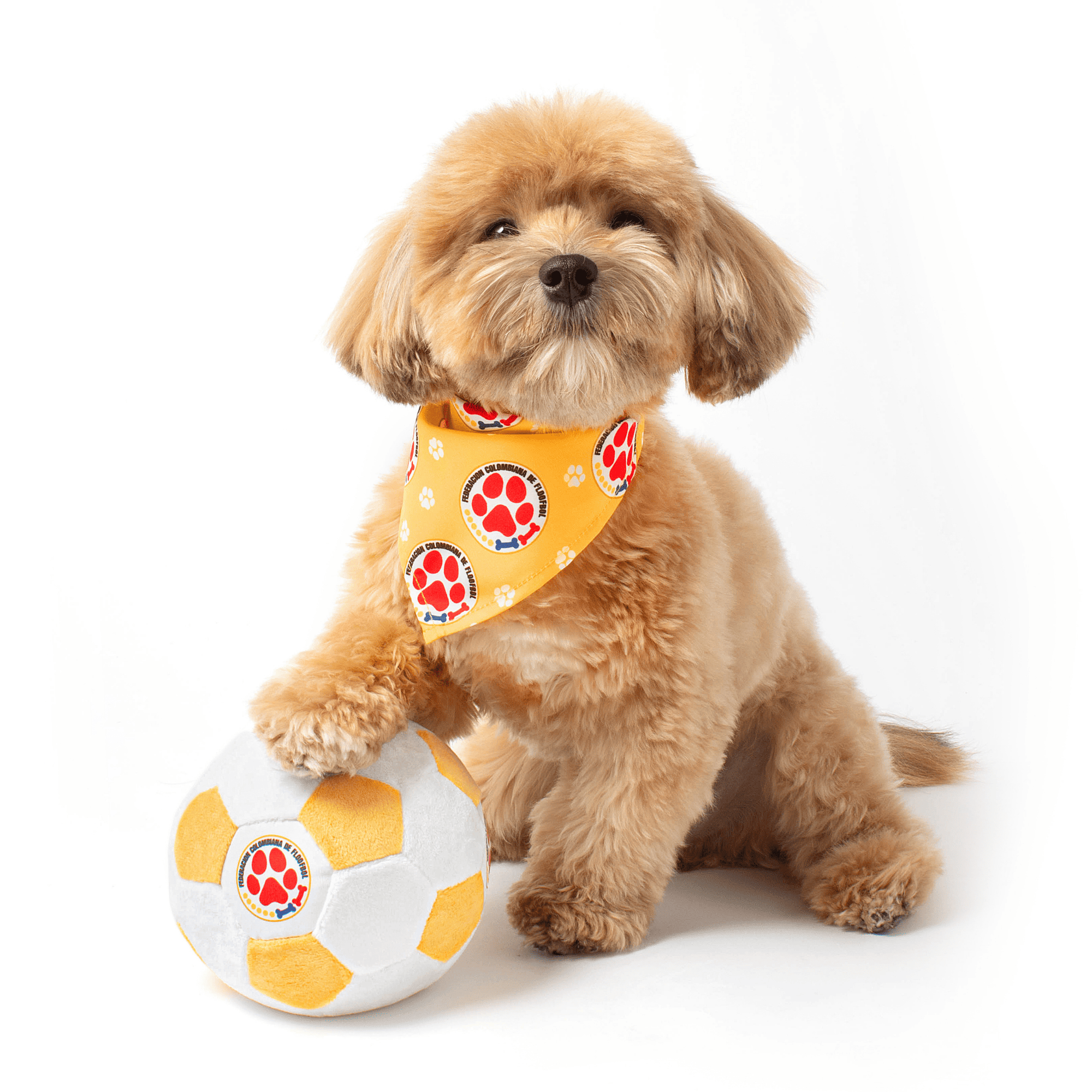 Model wearing yellow Colombia parody dog bandana featuring a stylish soccer-inspired design, perfect for sporty pups and unique soccer gifts for dog-loving soccer fans