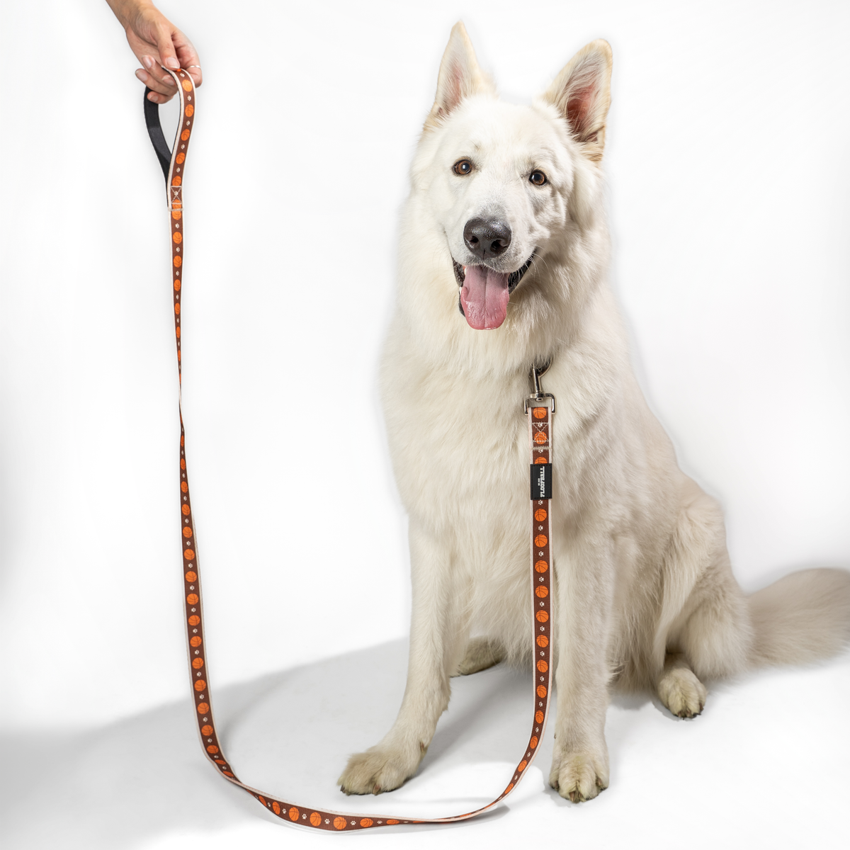 White dog wearing the Floofball basketball dog leash featuring a brown and orange basketball and paw print design.