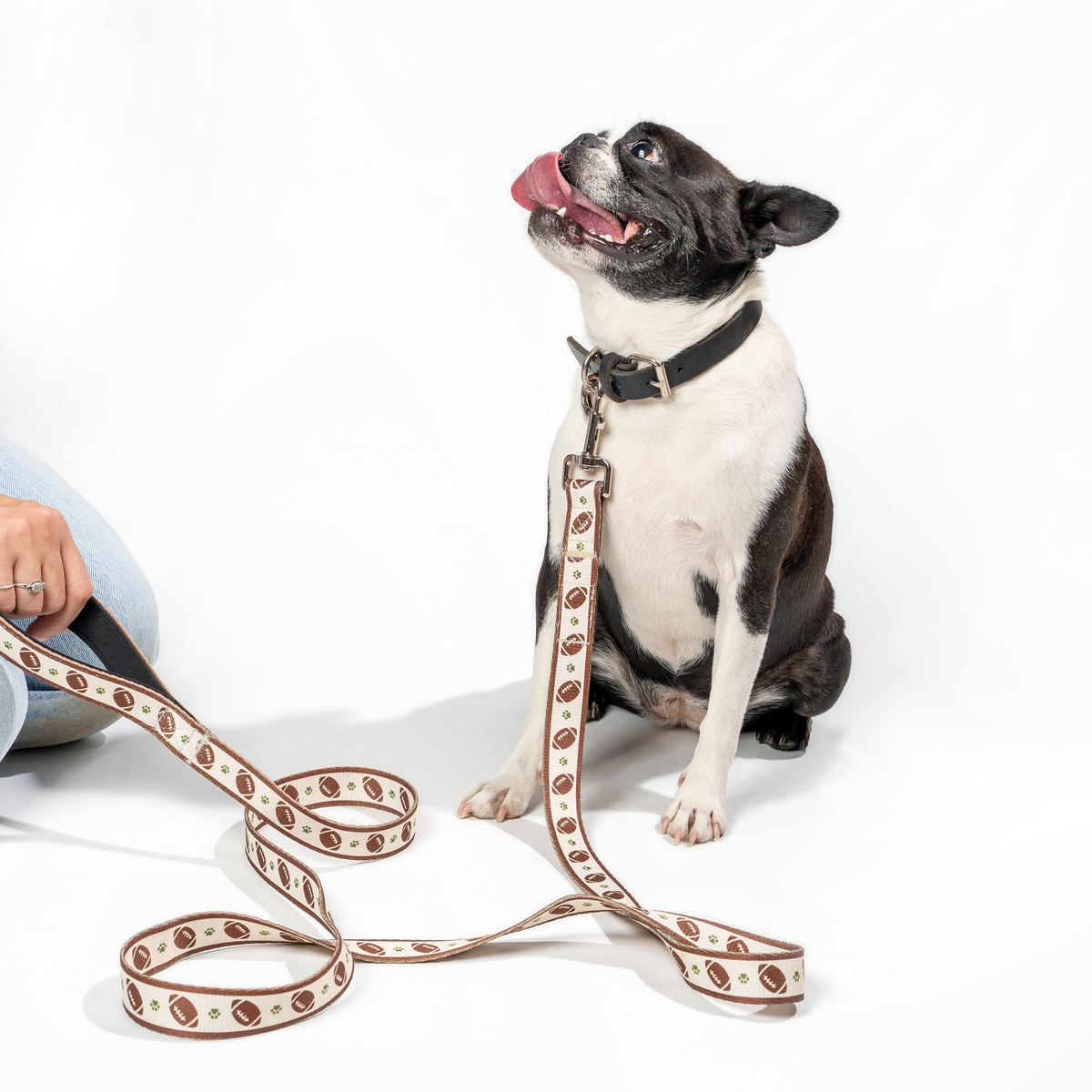 Dog posing with the Floofball football dog leash on a clean studio background.