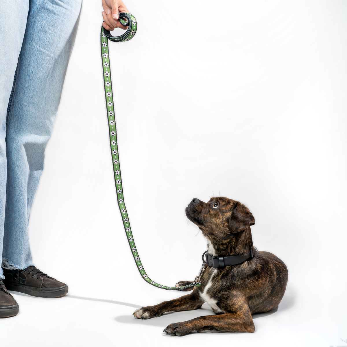 Dog posed with a Floofball soccer dog leash featuring a green soccer ball and paw print pattern.