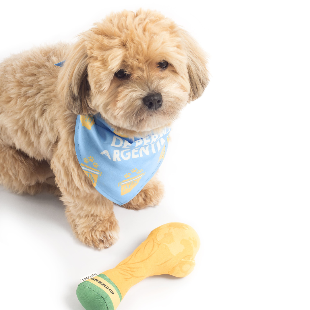 Model, blue Argentina parody dog bandana featuring a stylish soccer-inspired design, perfect for sporty pups and unique soccer gifts for dog-loving soccer fans
